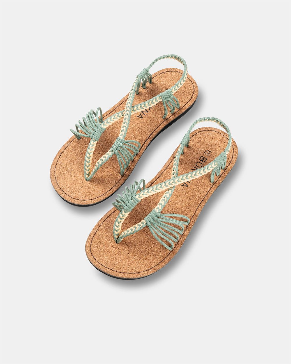 SEASTAR ANCHAS - Pistacho