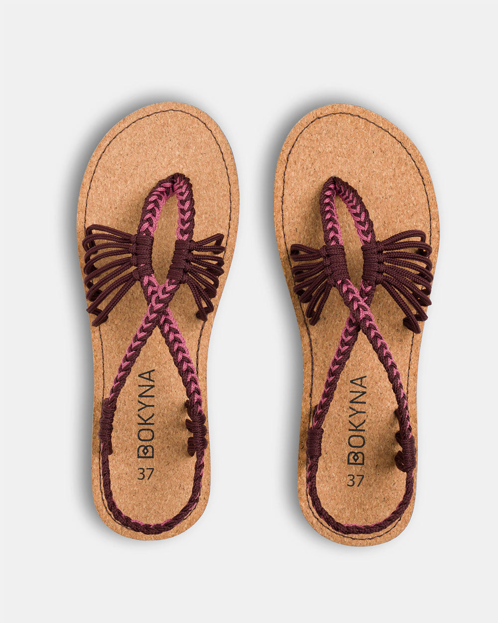 SEASTAR - Mangostán